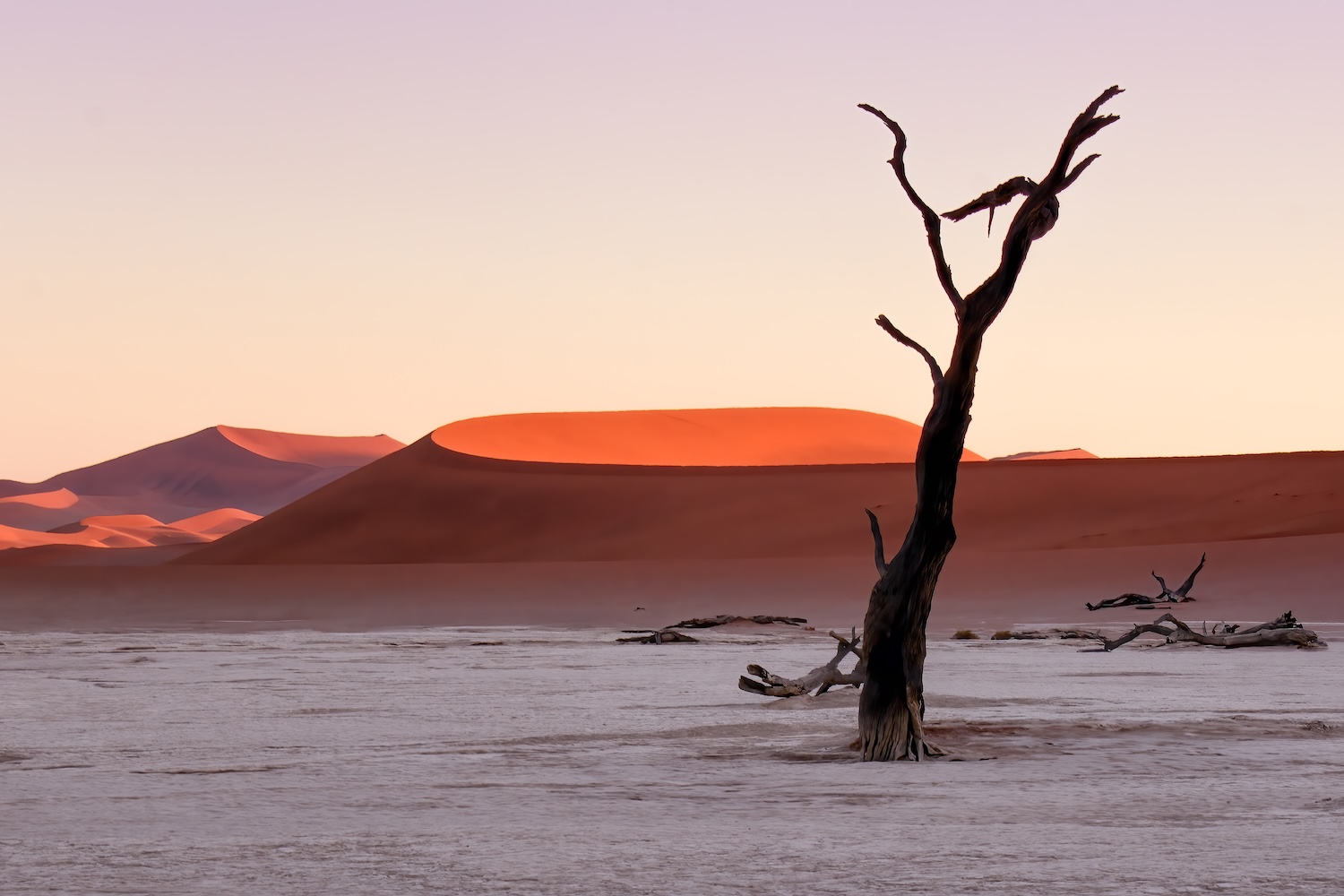 Deadvlei