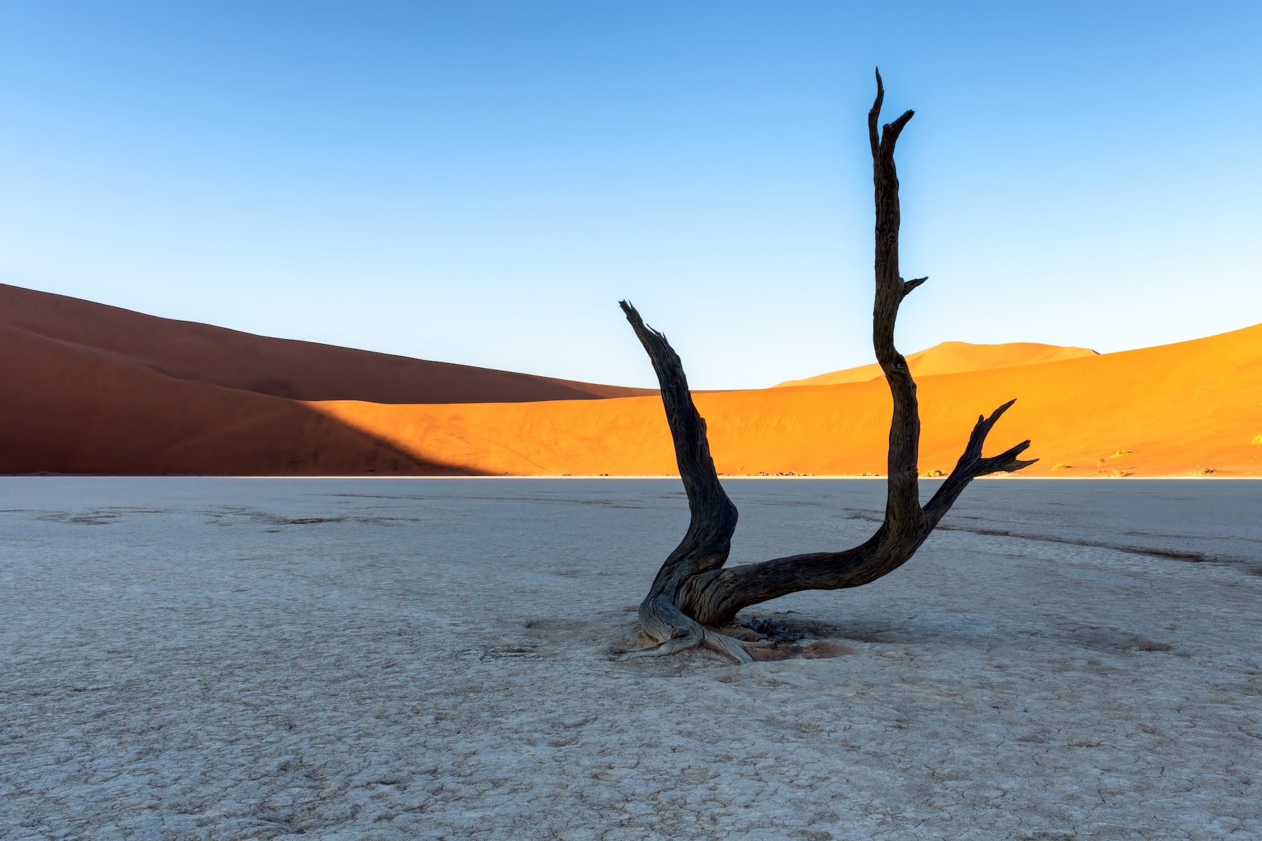 Deadvlei
