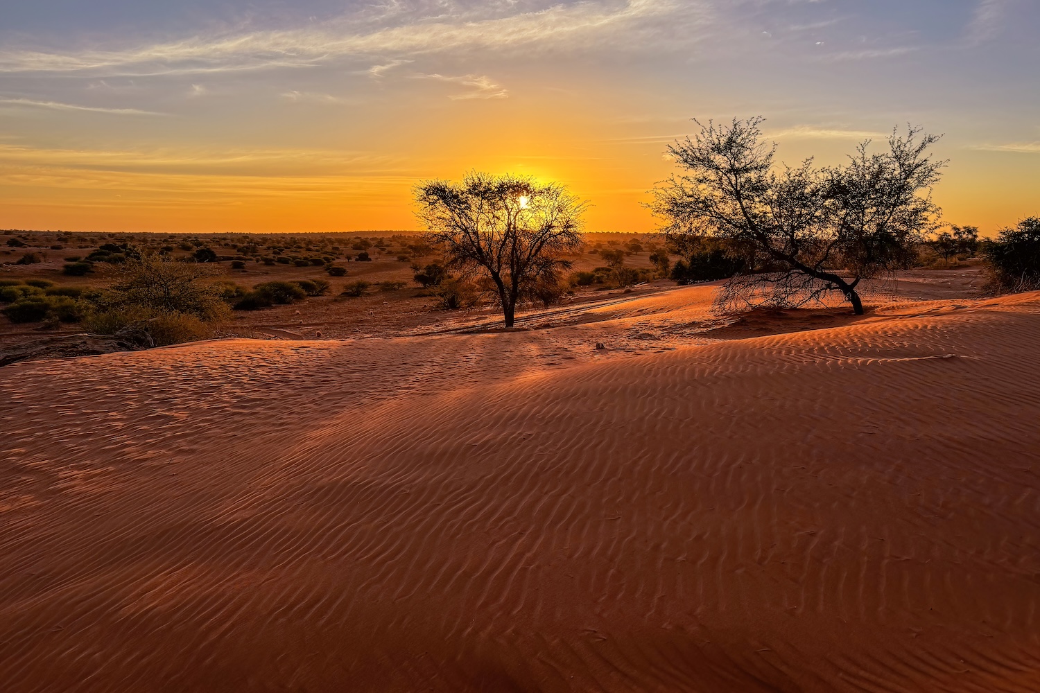 Kalahari Desert Sunset