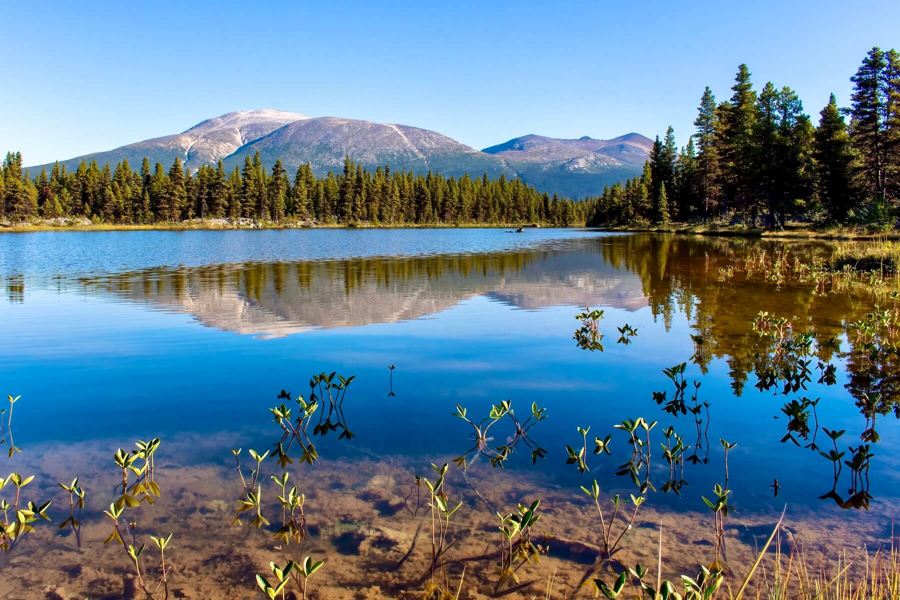 Yukon Lake